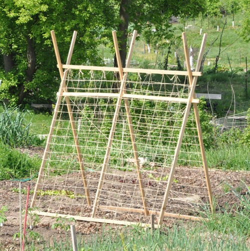 02 A Frame with Net