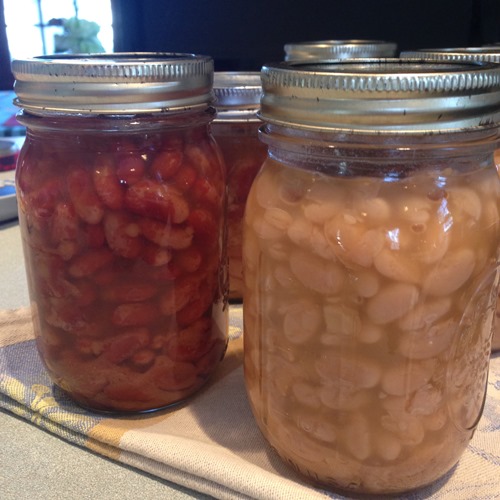 Jars of Beans